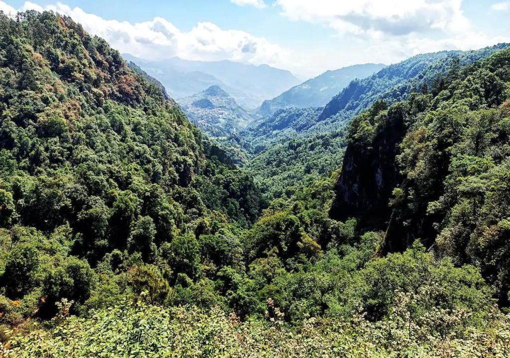 Acaxochitlan Other | Cabaña para pareja en el bosque IB