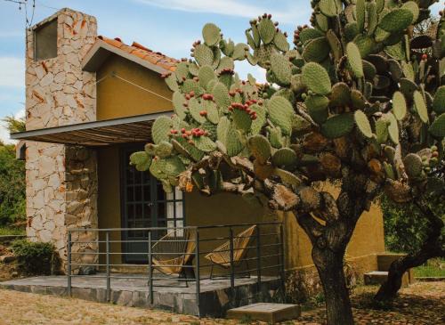 Ezequiel Montes Villa | Casa Noma