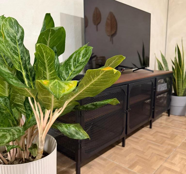 Boulevard Barra Vieja House | Casa Zuna
