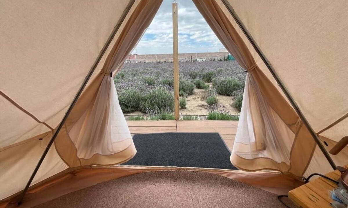 Texcoco de Mora RV Rental | Glamping Rincón de Lavanda