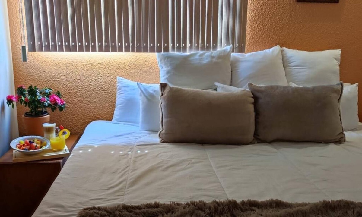 Tlalpan Hostel | Hotel Express Quinta Soledad