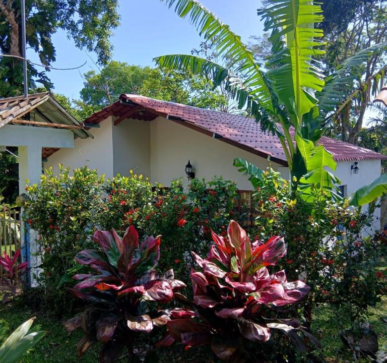 Catemaco House | PETIT PARADIS CABAÑA Catemaco Rainforest Nature