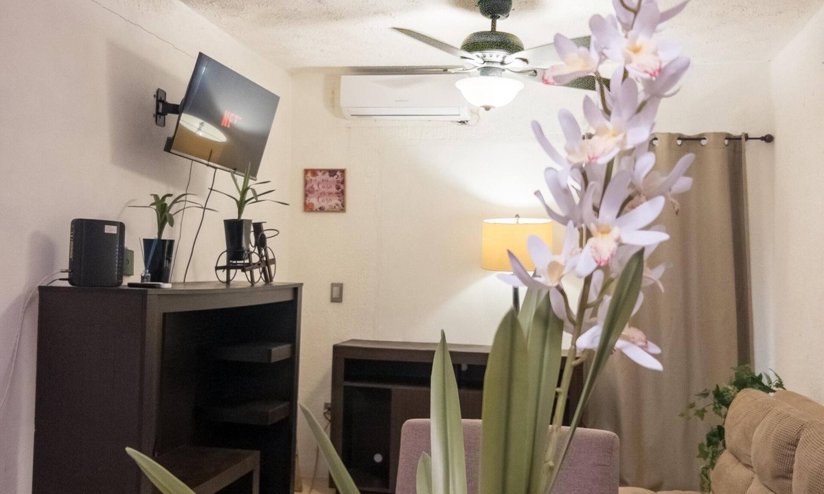 Coatzacoalcos House | Spacious house, forum, acaya, home depot