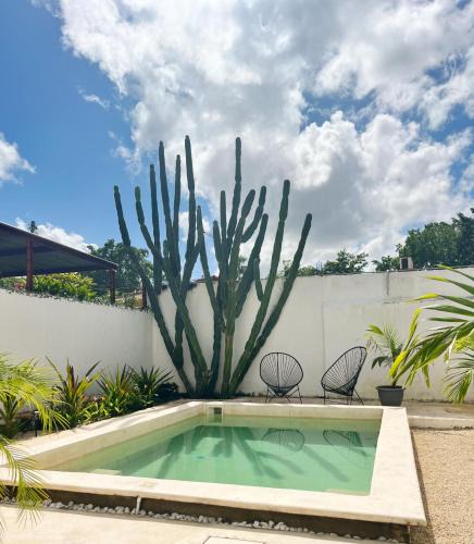 Centro House | Yuxtal