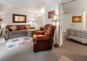 Fallridge 210 - Bright One Bedroom in Vail