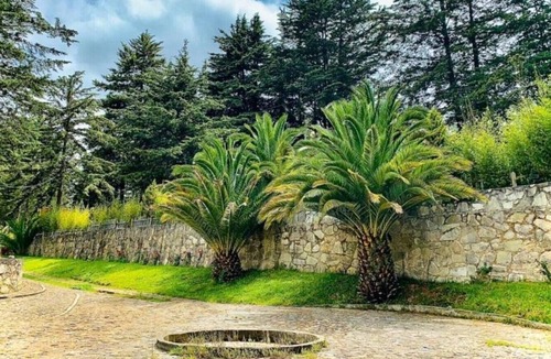 Pachuca Cabin | CABIN FOR 4 PEOPLE #1 @JARDIN RINCON DE LAS ESTRELLAS