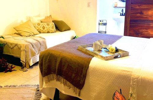 Lo de Marcos Hotel | Casa Botanica