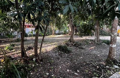 Xpujil House | Casa Manilkara Calakmul