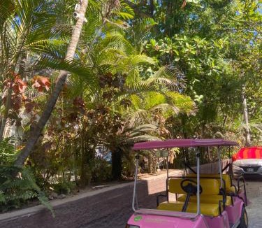 North End House | Casa Mara Beachfront Villa - Pool & Sunset Views