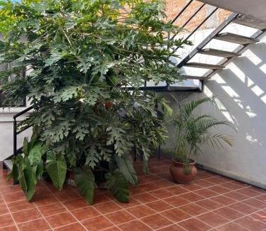 Aguascalientes Apartment | comfortable and nice loft, great location