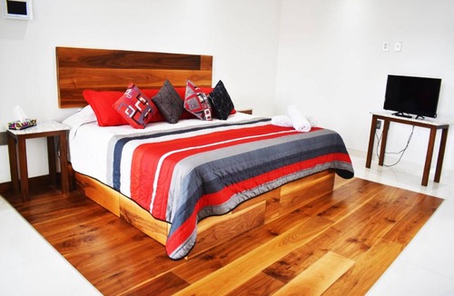 Zona Centro Apartment | En el Centro Penthouse Lujo AC WiFi 300mbps