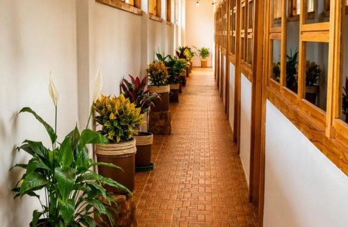 San Sebastian Tecomaxtlahuaca Hotel | Hotel Casa María