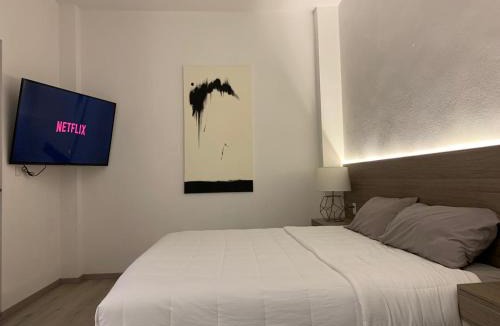 Pachuca Hotel | Hotel Blanco Pachuca
