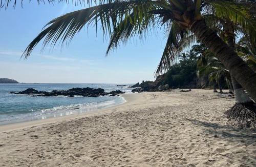El Cacalote House | Playa 28