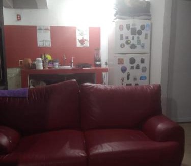 Coyoacan Apartment | Spacious apartment near Estadio Banorte
