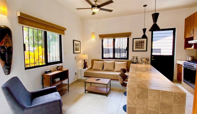 Ajijic 1 Bed Guesthouse-great Location-patio-bikes-pickleball Court-golf Cart in Chapala