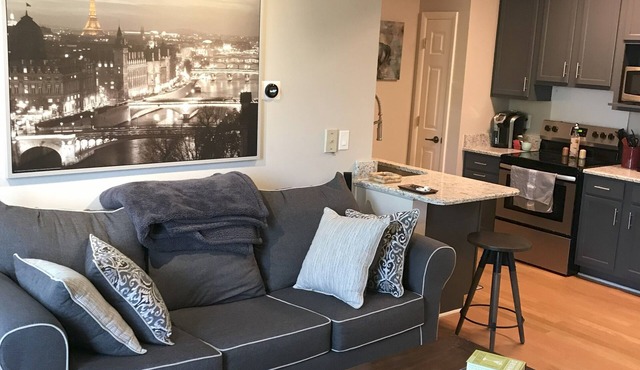 Awesome 1BR downtown condo near EVERYTHING! in Memphis