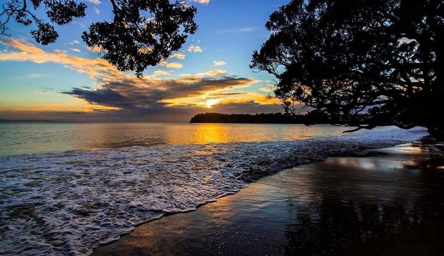 Beachfront location with seaviews, perched on park like grounds in Whangaparaoa