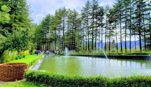 CABIN FOR 4 PEOPLE #1 @JARDIN RINCON DE LAS ESTRELLAS
