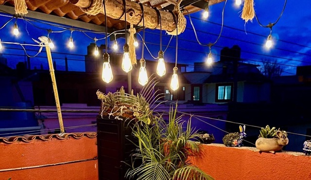 Casa del Jaguar Coleto