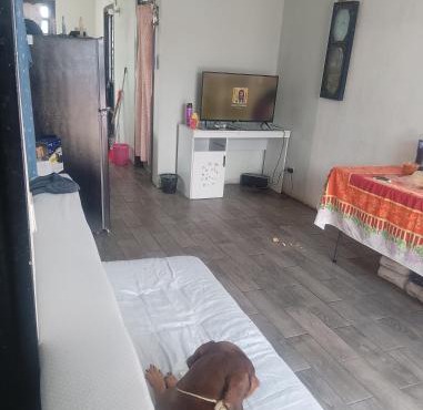 casa compartida familiar