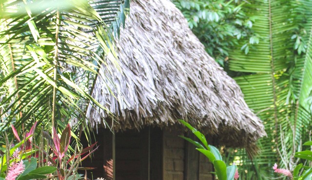 Cohune Palms River Cabanas: Private river cabanas just 2.5 mi from San Ignacio in San Ignacio