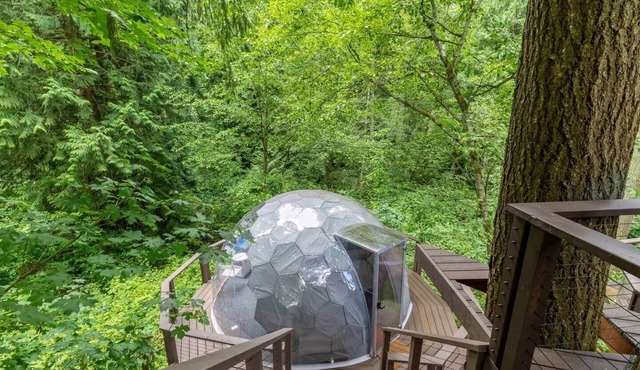 Crystal Dome · Private Glamping Dome w/Hot Tub, Sauna & Panoramic View in Eastmont