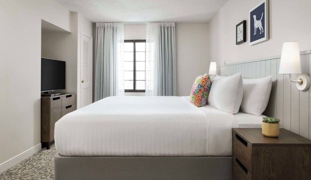 Enjoy Comfort & Convenience at This Modern Thornhill Suite with Swimming Pool in Markham