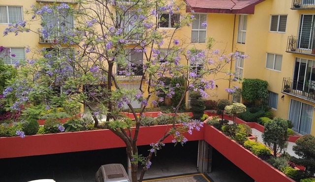 Enjoy the best location on Mexico City in San Angel