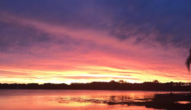 Five Star Rating Lake/WaterFront Oasis Near Tampa/Orlando & Gulf Beaches in Odessa