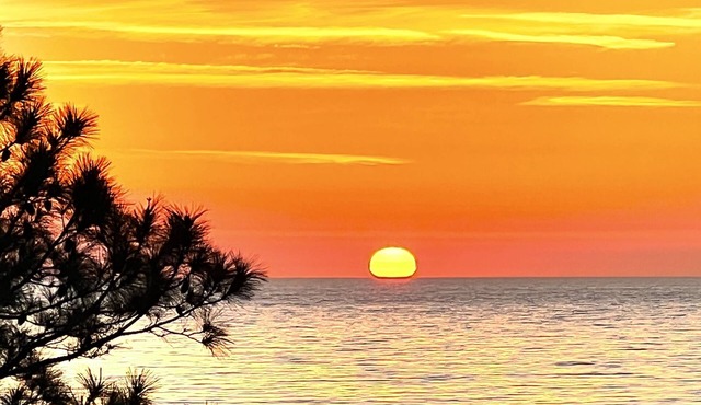 Great sunrise view from dining area and decks. Easy beach access. in Panacea