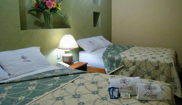 Hotel Laguna Tampico