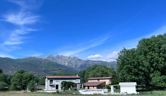 Ideal house for families and celebrations of any kind. in Candeleda