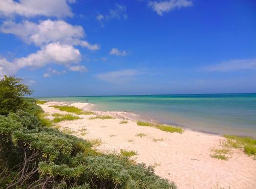 Lemnus Luxury villa walking distance to Chicxulub in Merida