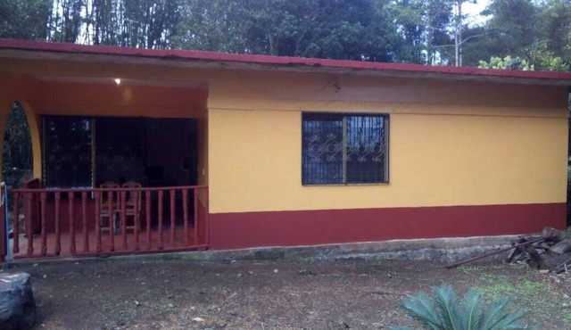 Nice House Natural