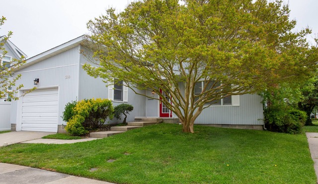 Pet Friendly Downtown Rehoboth Beach Rustic and Comfy Home in Rehoboth Beach
