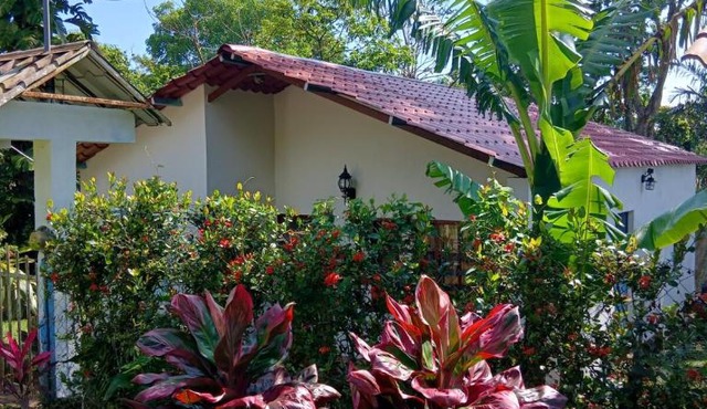 PETIT PARADIS CABAÑA Catemaco Rainforest Nature