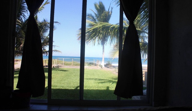 Pura Vida Veracruz