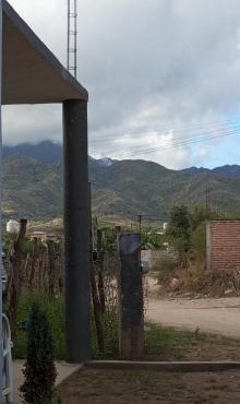 Renees Depas in Álamos