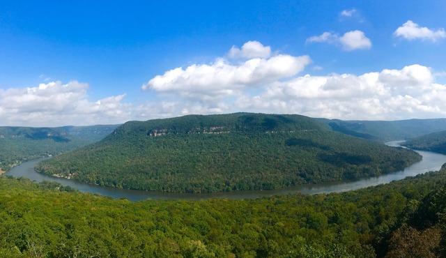 River Gorge Condo! Mountain and River Views! 10 minutes from Downtown Chatt! in Chattanooga