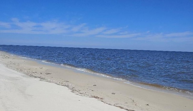 Secluded Florida Beach Bungalow- BEST OF BOTH WORLDS BEACH TIME & FISHING TIME! in Panacea