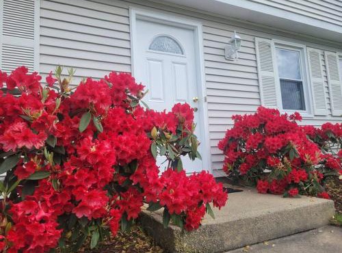 Spacious 5BR Beach House Vacation-walk to Scarborough! in Narragansett