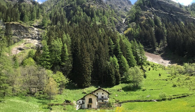 Spacious chalet in peaceful environment, 300m from village center, near slopes in Gressoney St. Jean