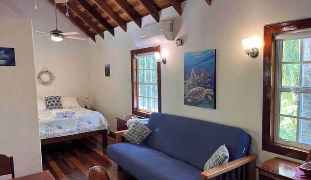 Studio w/Pool, AC, Dock Access, Free Paddle boards in Caye Caulker