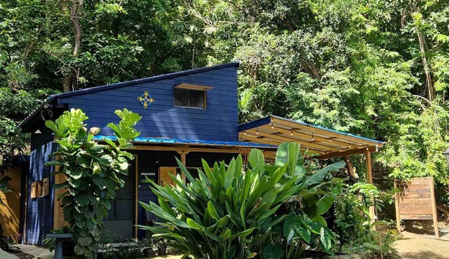 Tiny Cozy Mountain Cabin Peaceful Retreat in Cayey in Cayey