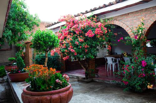 Villa Flores, Casa completa para familias