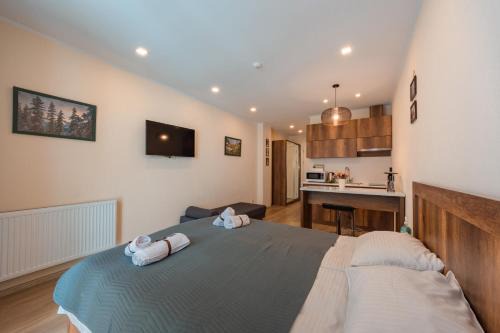New Gudauri Loft 