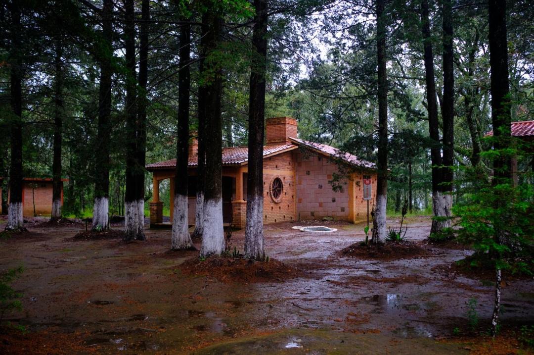 Acambay de Ruiz Castaneda Other | Parque La Mesita del oso bueno