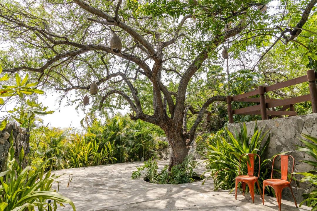 Alpuyeca Hotel | Soul Spring Sanctuary Cuernavaca, WorldHotels Luxury