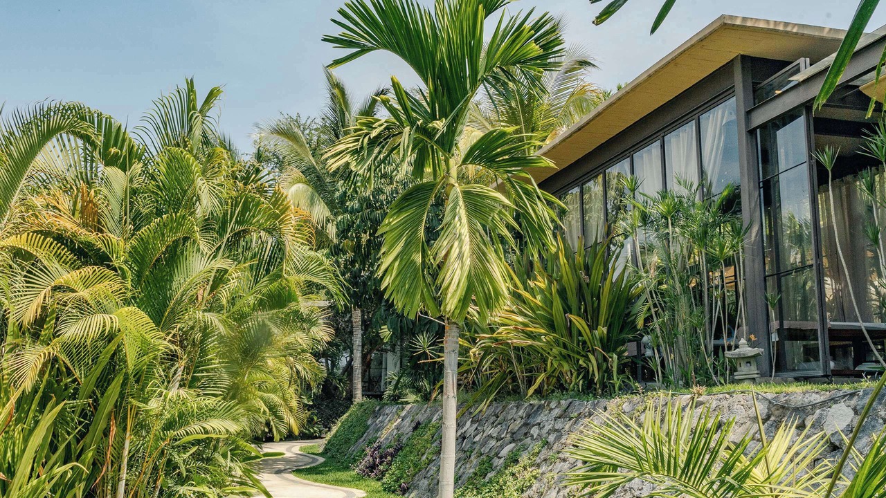 Photo of Outdoor in Xochitepec